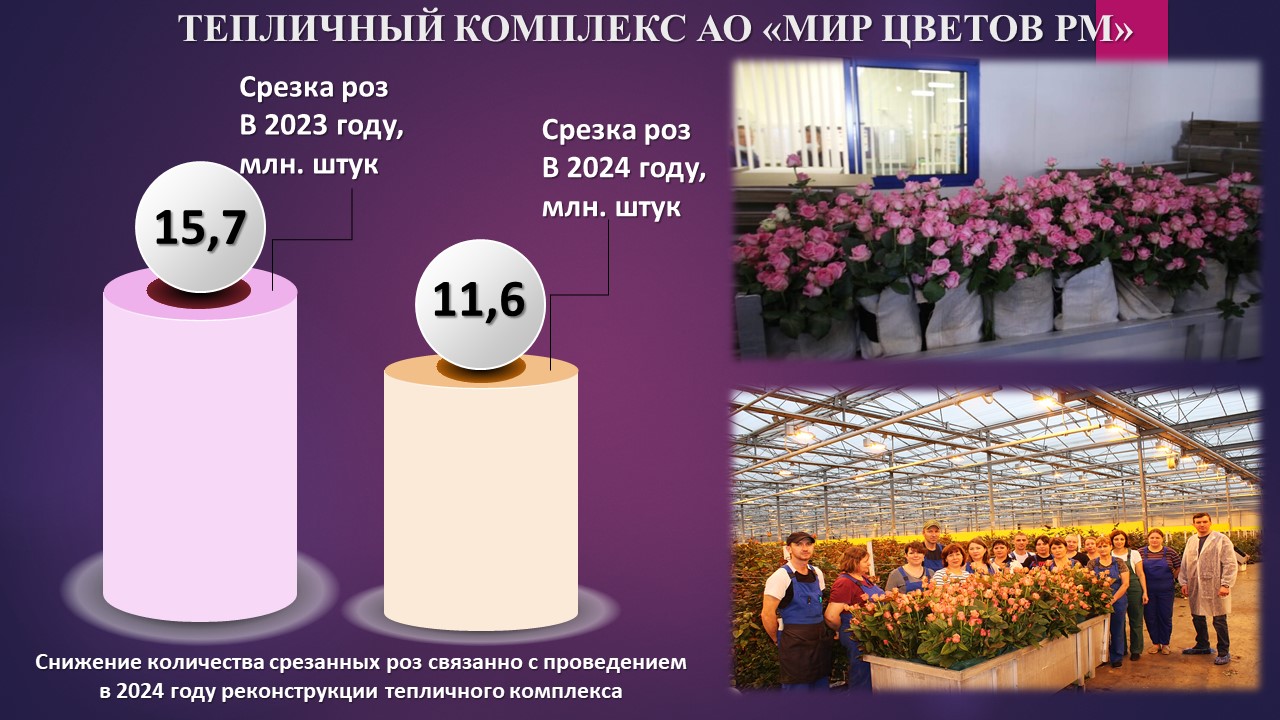Изображения.